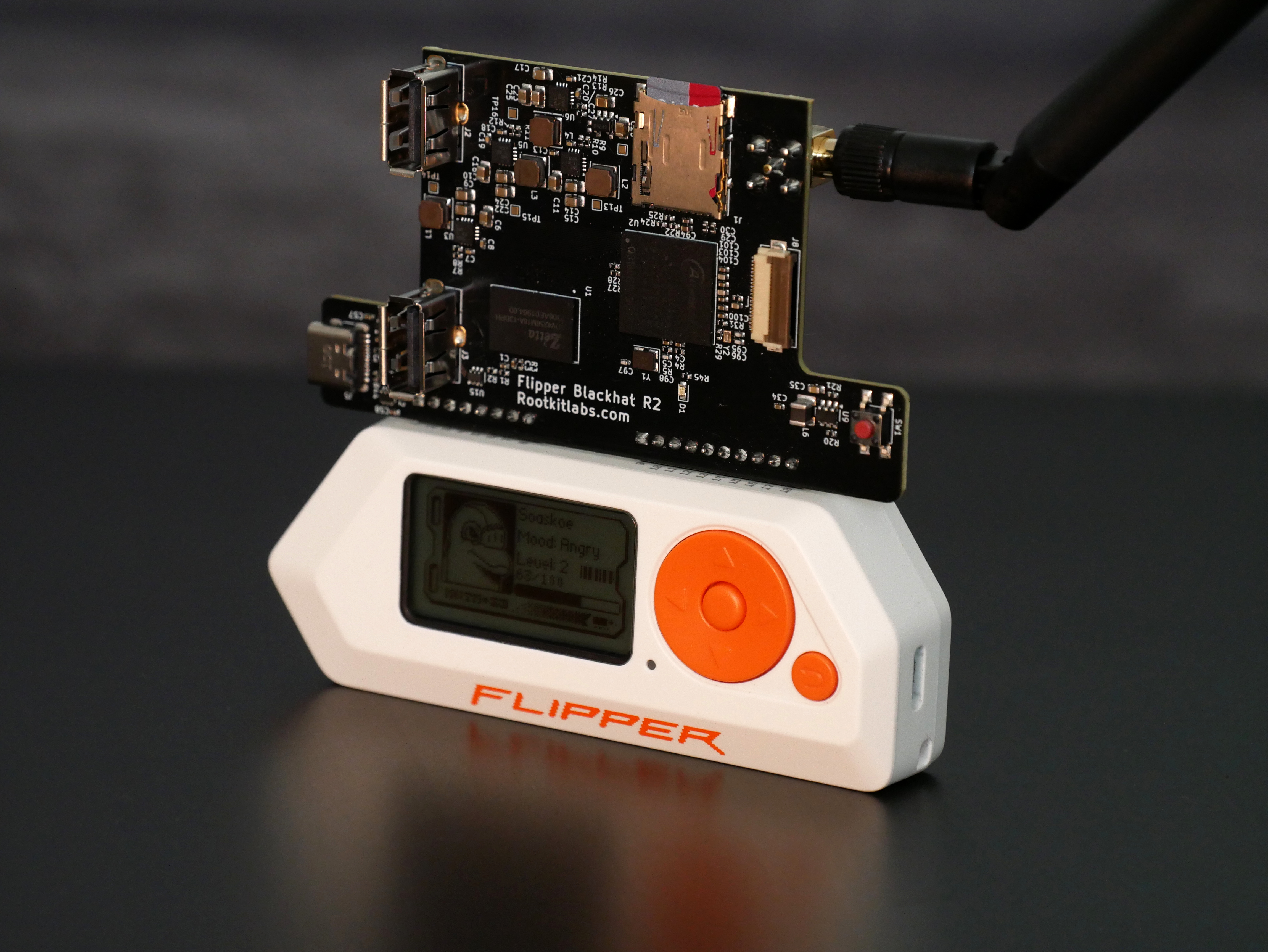 Flipper blackhat, from the project README
