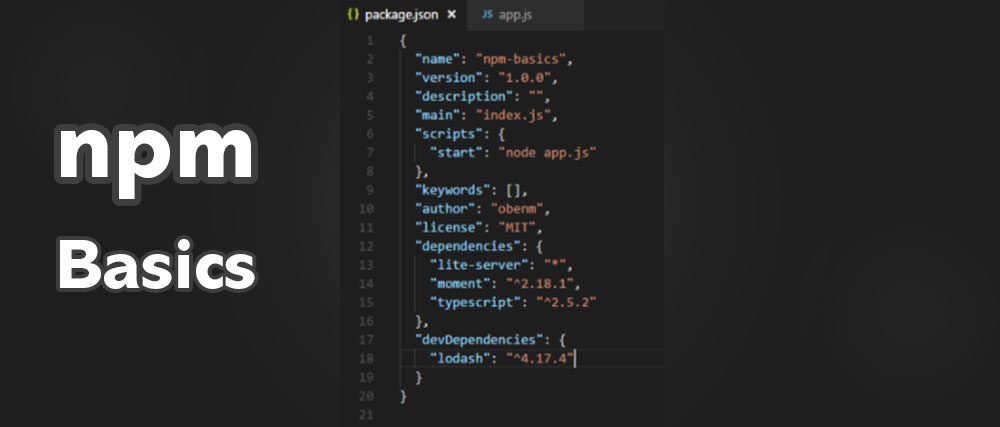 Github Obenm Npm Basics A Basic Example Of User Npm Console