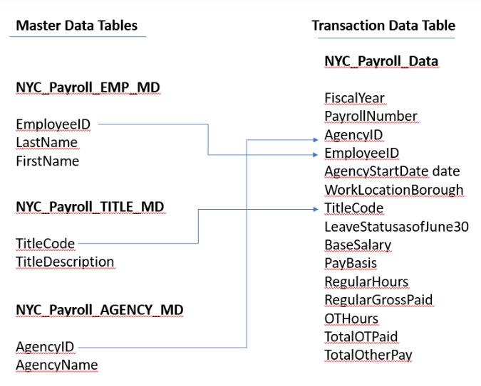 data schema