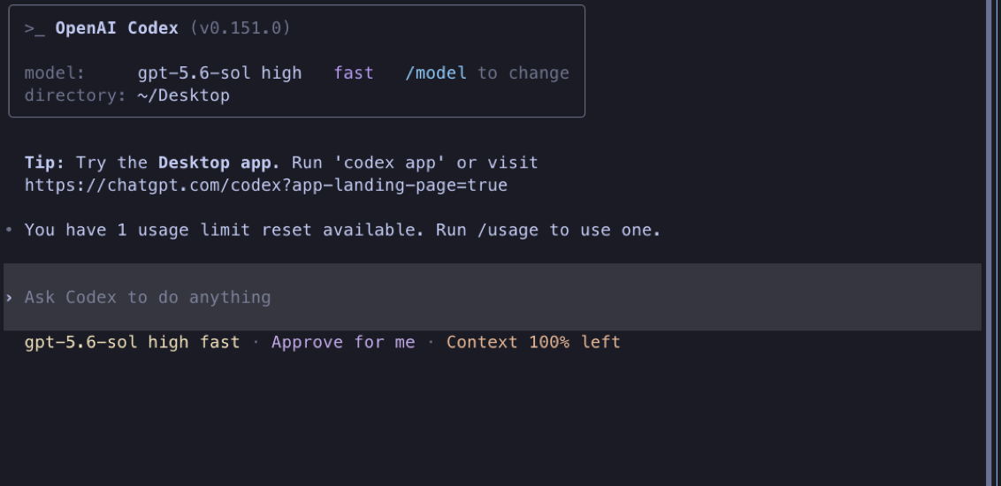 A standard OpenAI Codex terminal prompt field