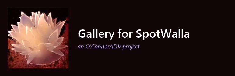 Gallery for SpotWalla — an O'ConnorADV project
