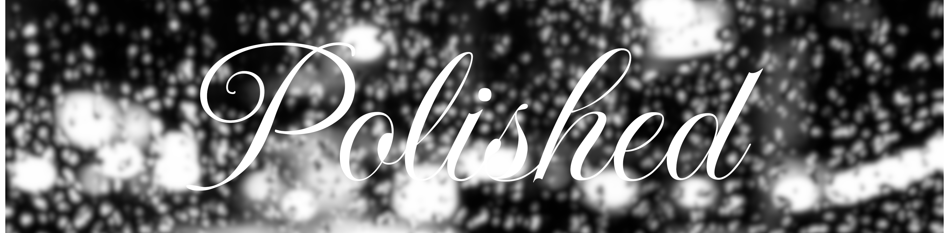 Project Polished Banner