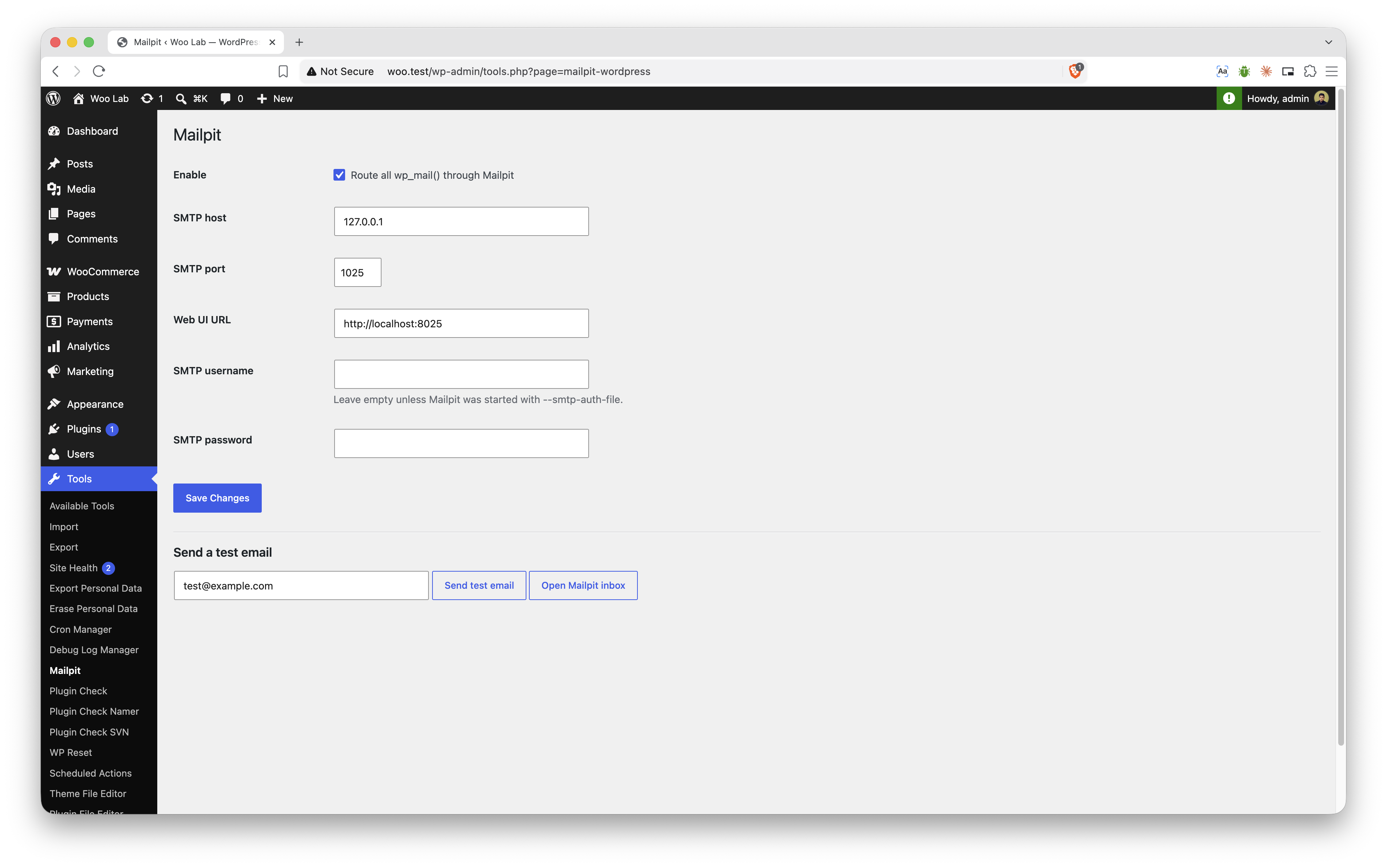 Mailpit settings page in WordPress admin