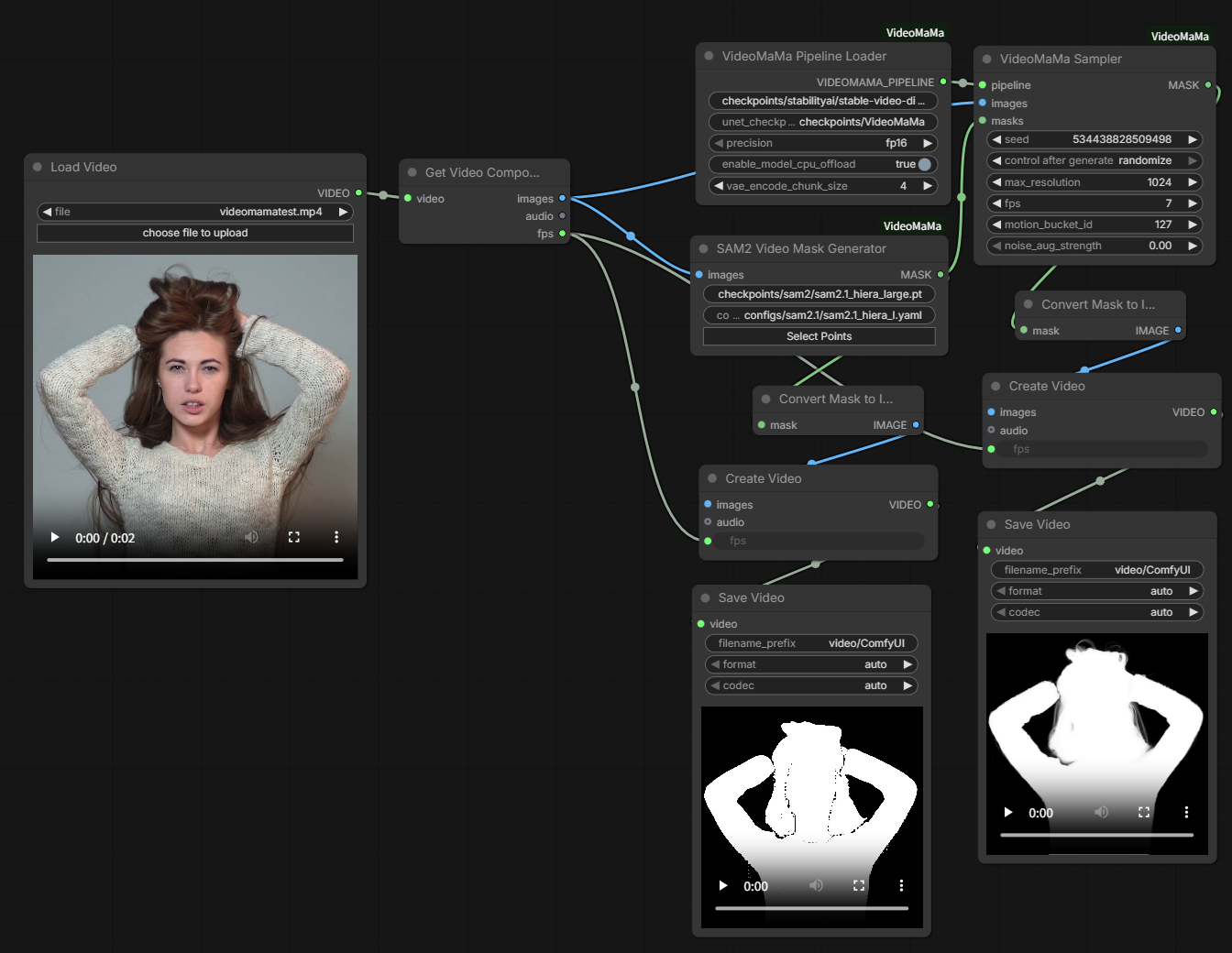 VideoMaMa Workflow