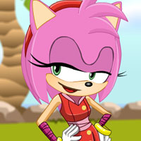 Amy Rose Dress Up