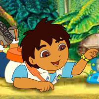 Go Diego Go - Field Journal