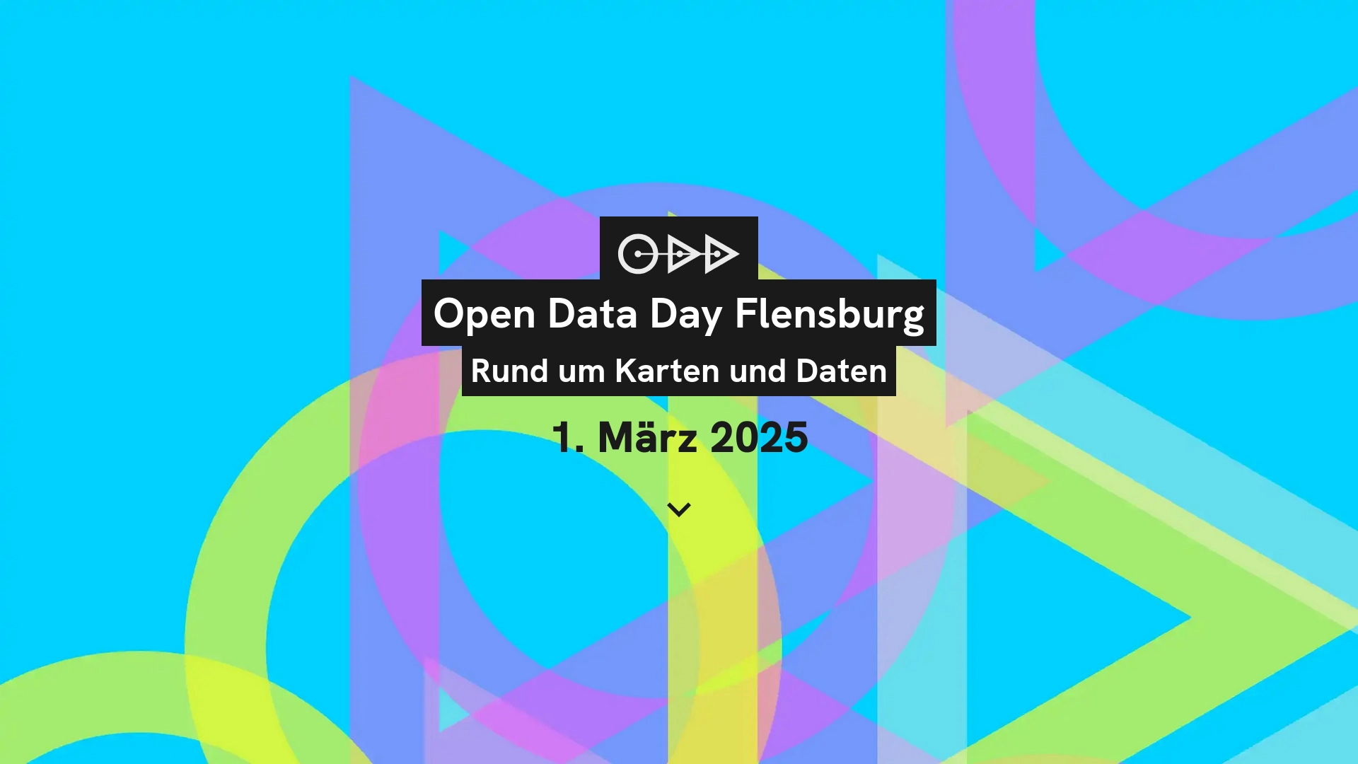 Screenshot Open Data Day Website