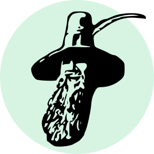 Toml Bombadil - A dotfile manager written in rust