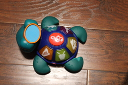 Turtle toy top