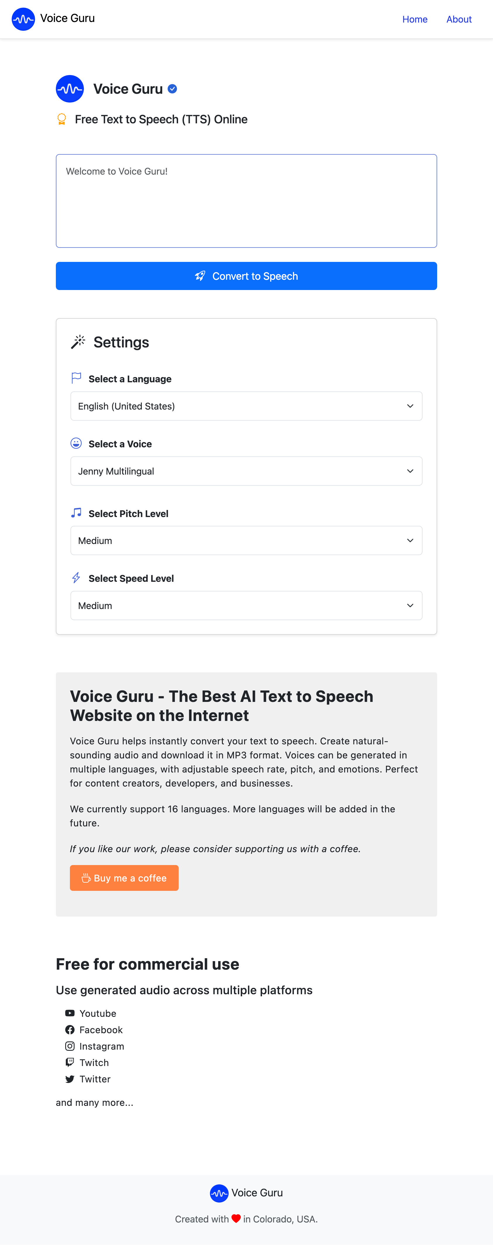 User Interface of Voice Guru