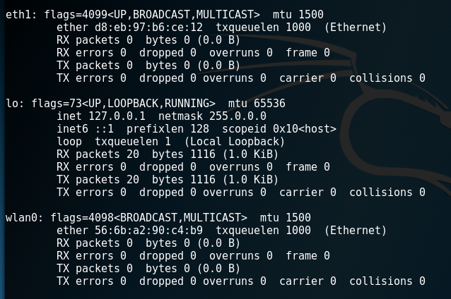 Interfaces in Kali