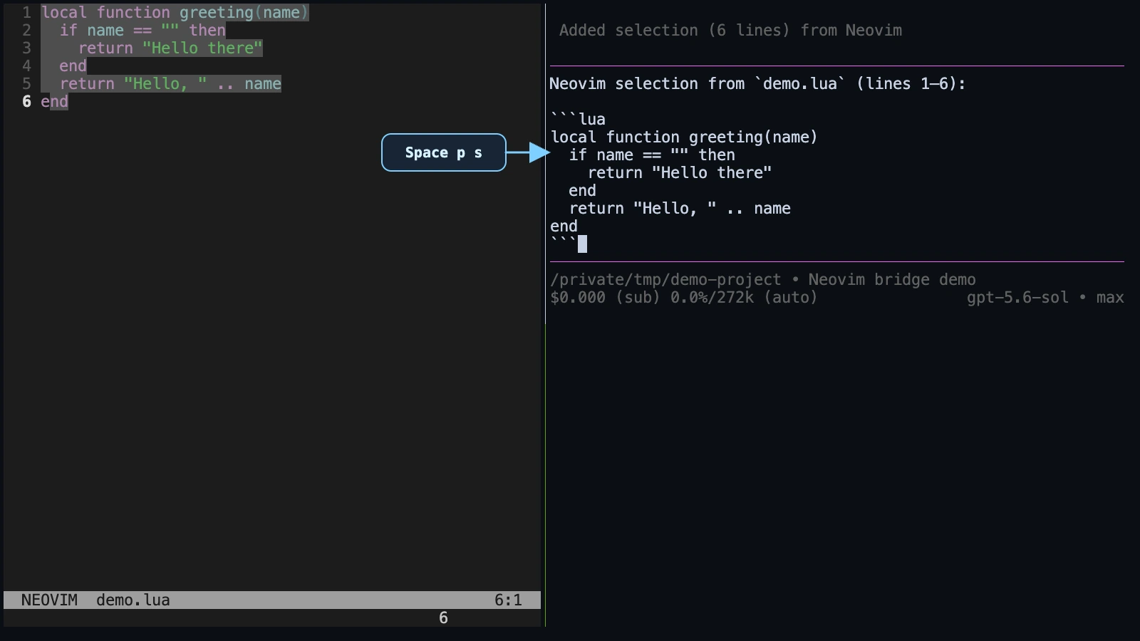 A Neovim visual selection transferred into Pi's editable input