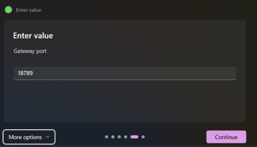 Blank text answer recorded in the transcript and Gateway port step reached