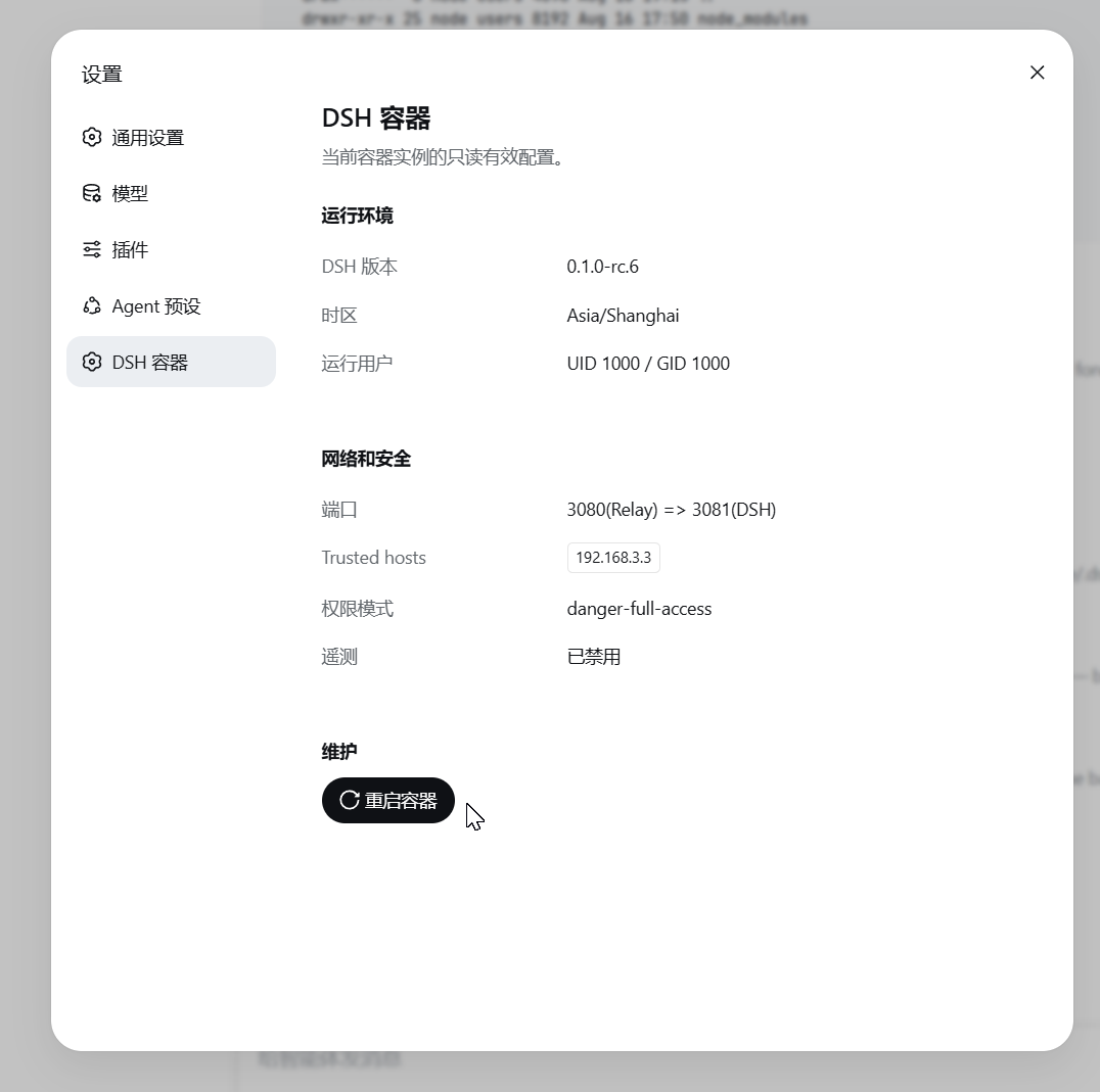 DSH 容器设置页