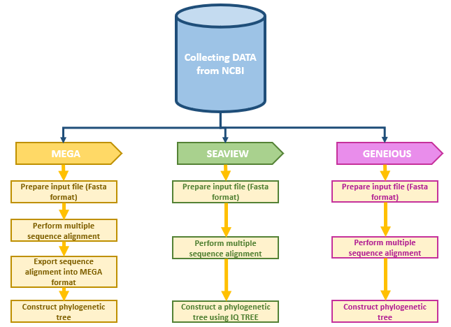 GeneralWorkflow