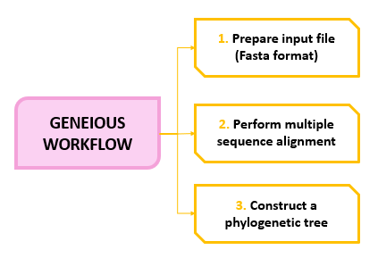 GENEIOUSWorkflow