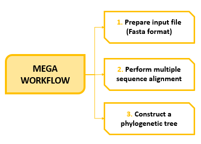 MEGAWorkflow