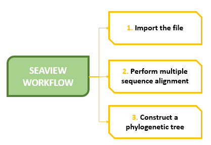 SEAVIEWWorkflow