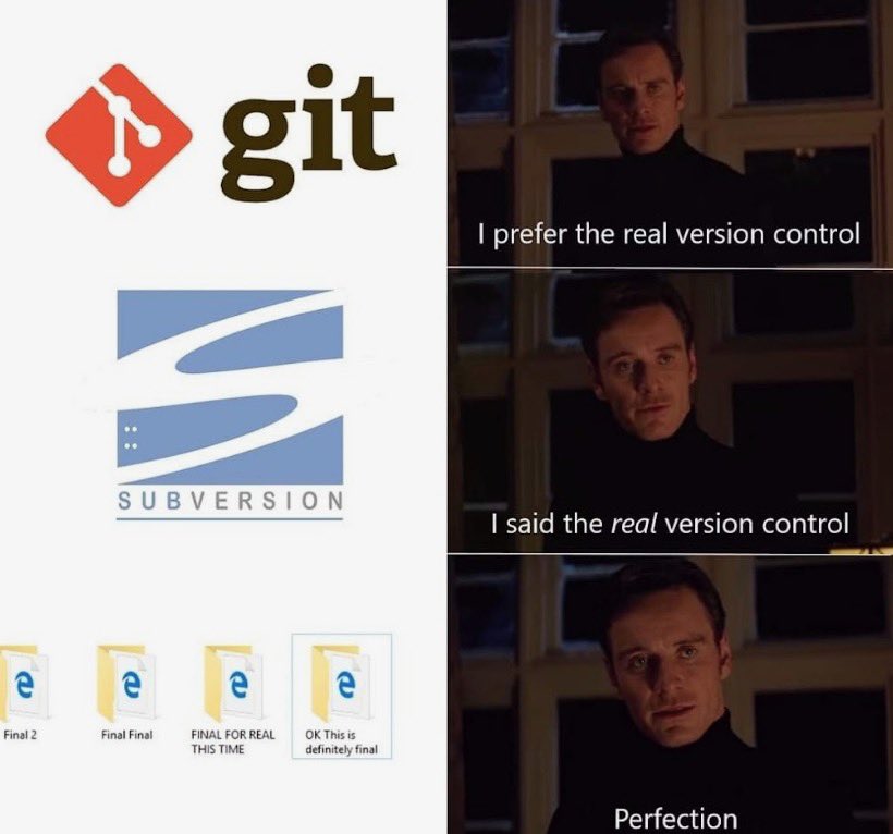 Real version control by Elon Musk