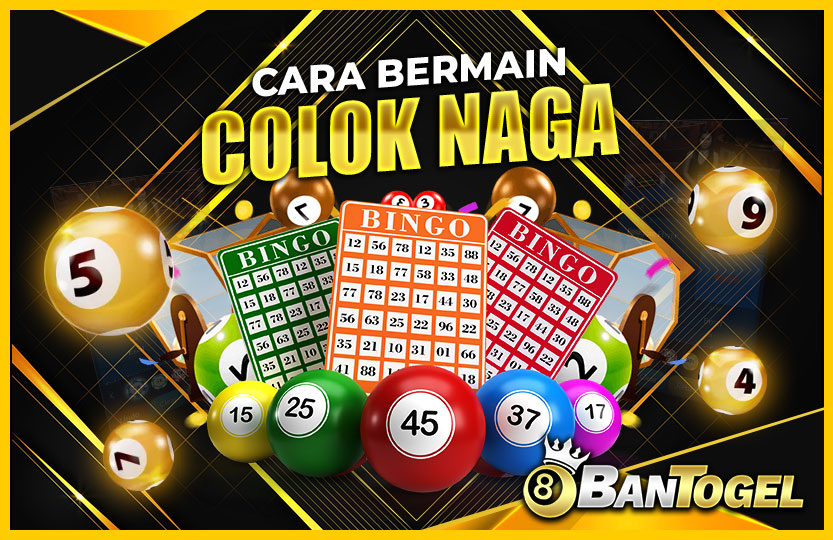 cara-bermain-colok-naga-02-46-27-2024-11-02