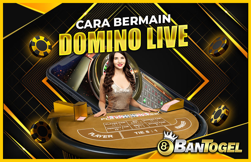 cara-bermain-domino-03-21-48-2024-11-02