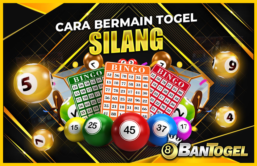 cara-bermain-togel-silang-03-43-52-2024-11-02