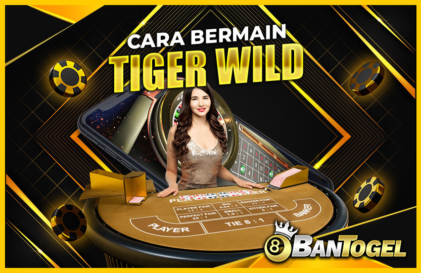 cara-bermain-tiger-wild-03-48-36-2024-11-02