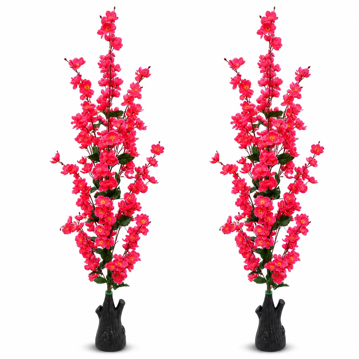 art31