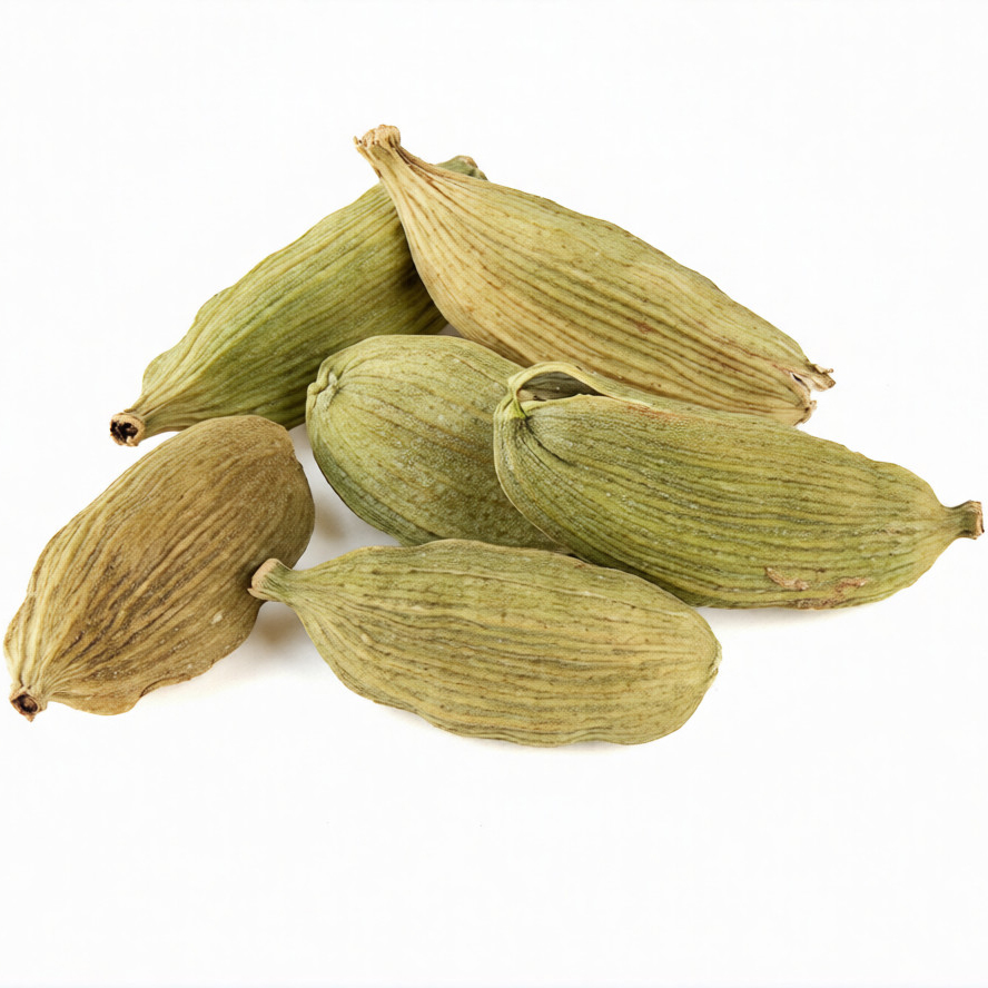 Elaichi এলাচ 2