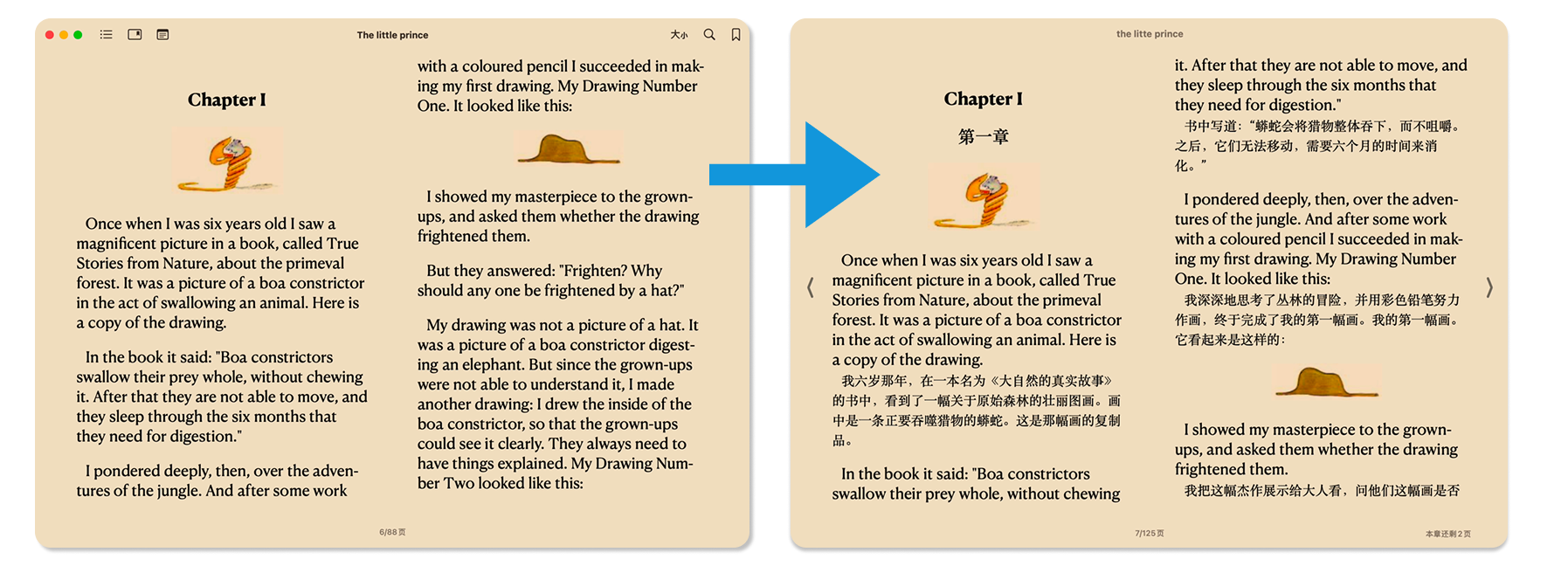Translation Effect