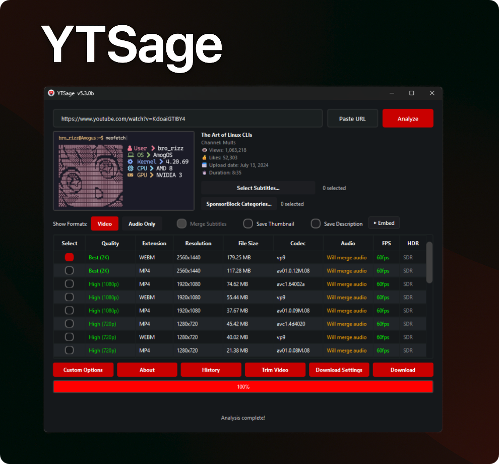 YTSage Interface