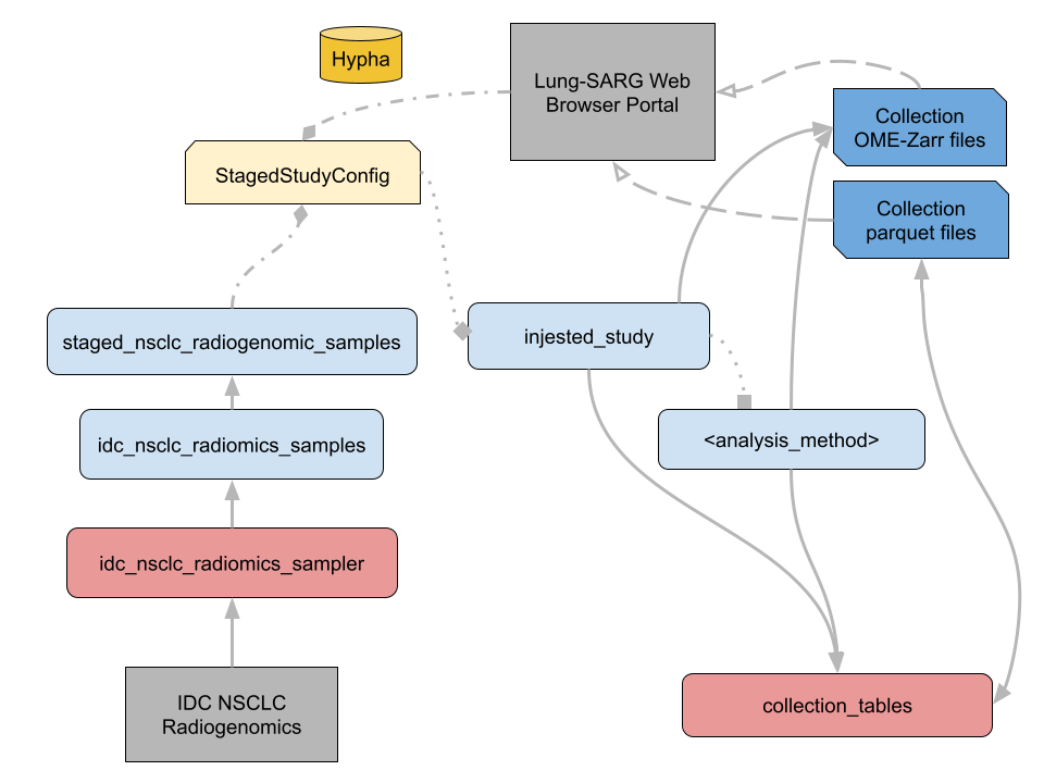 Lung SARG dataflow