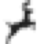 Acorn icon