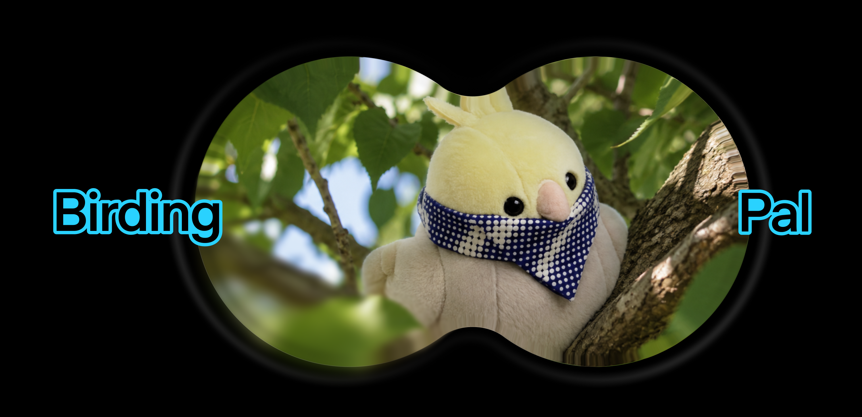 OpenAI releases BirdingPal open-source birdwatching assistant