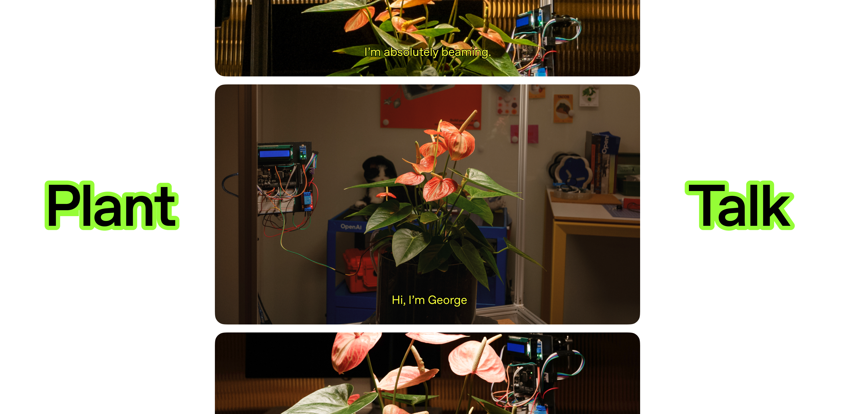 OpenAI drops open-source Plant Talk