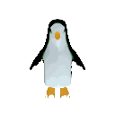 a penguin