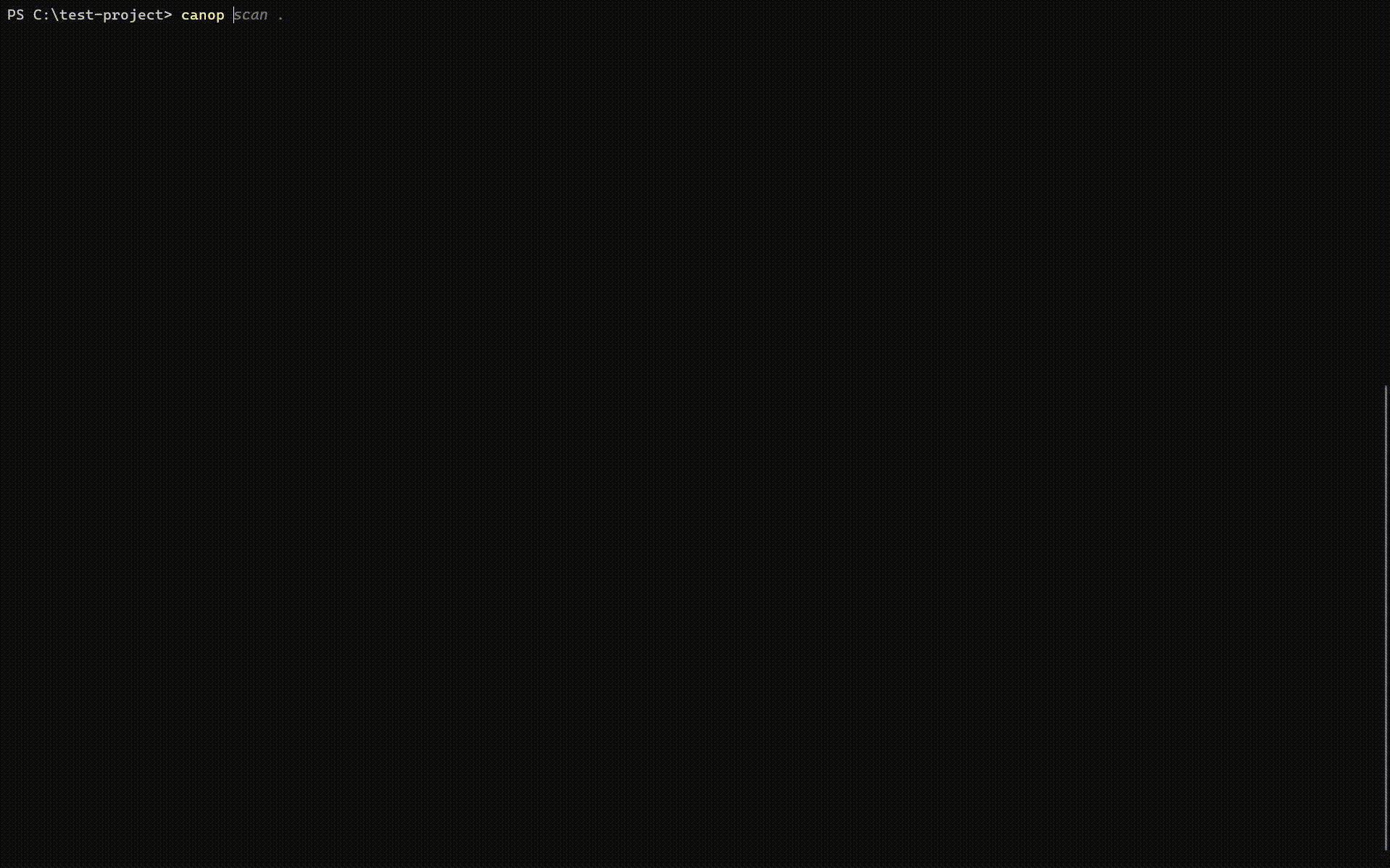 CanoP scanning a project