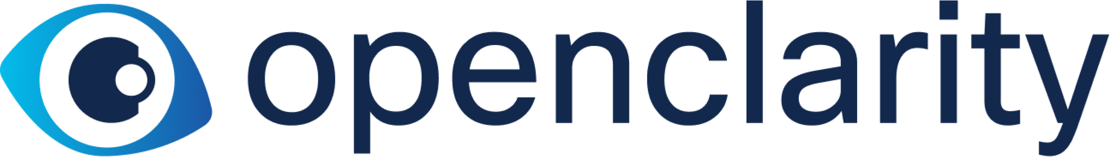 OpenClarity logo