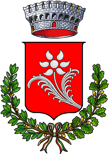 Nomi