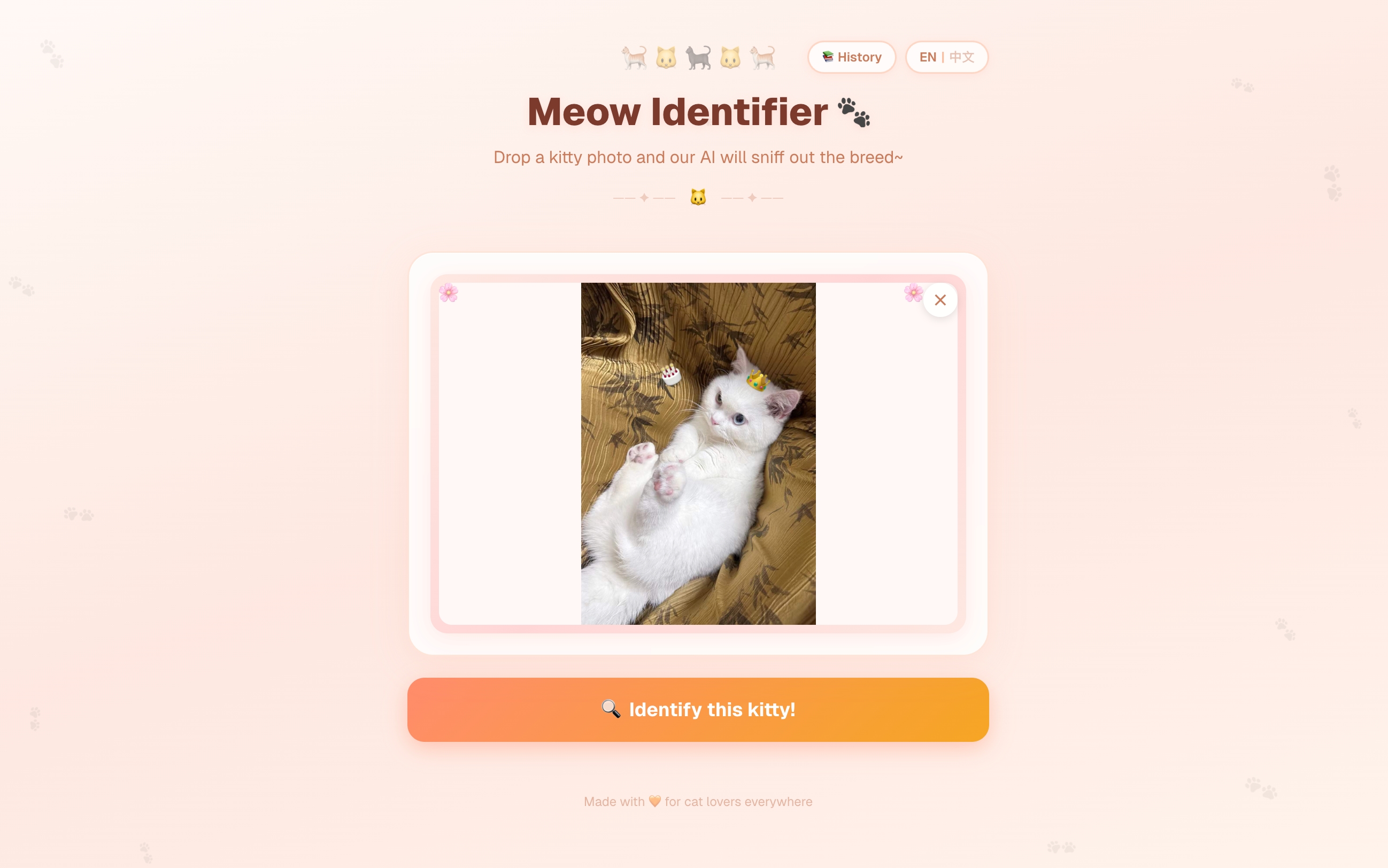 Meow Identifier — 猫咪品种识别 App