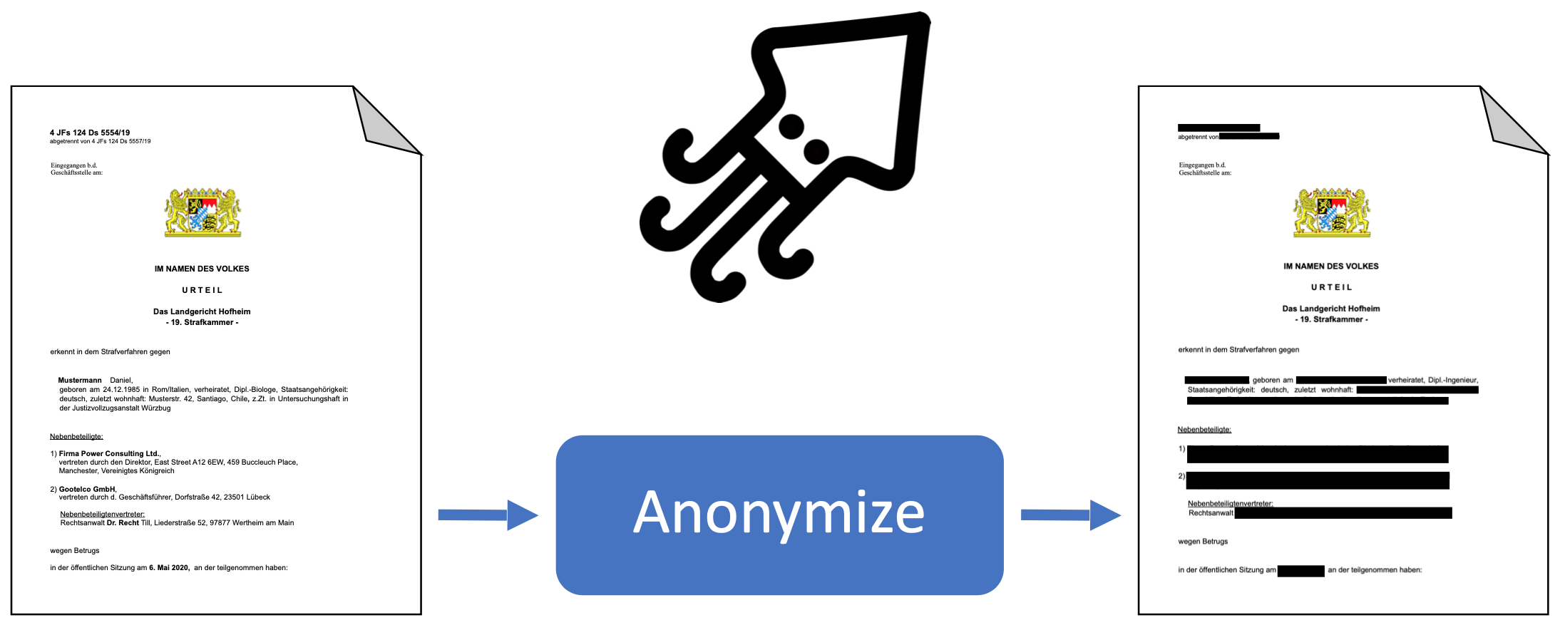 Using OpenRedact to anonymize documents