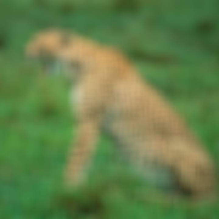 DemoApproximateGaussianBlur01Kt