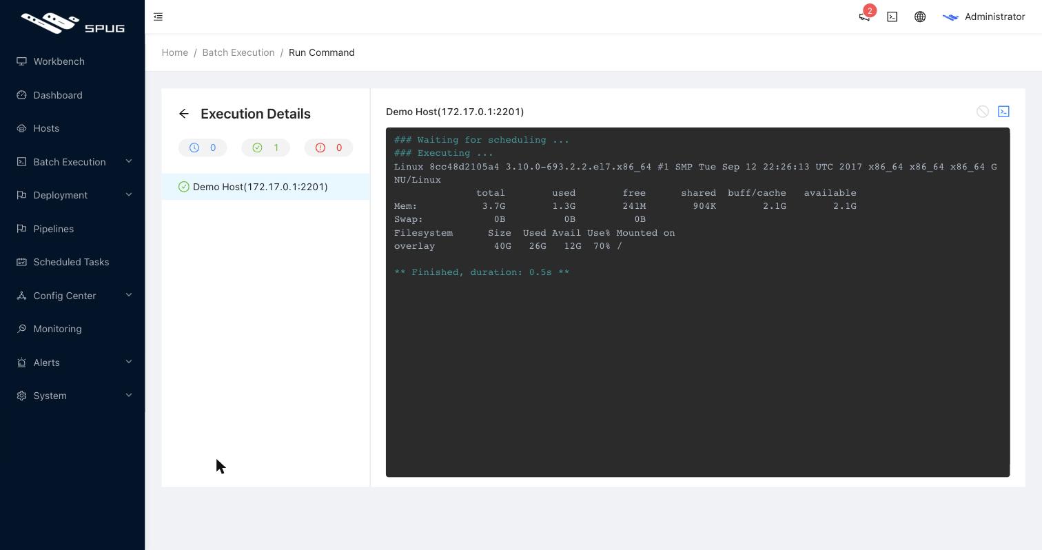 batch execution output
