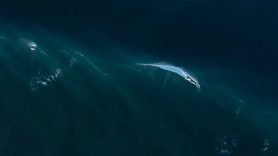 Tide — ocean research hero