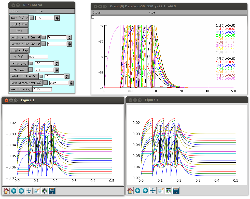 Run in NEURON