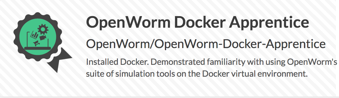 OpenWorm Docker Badge