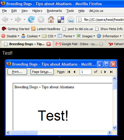 The same page with print and screen style sheets applied
