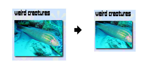 overflow-hidden in combination with object-fit: none; means that the image will be cropped by a different amount as the image size changes