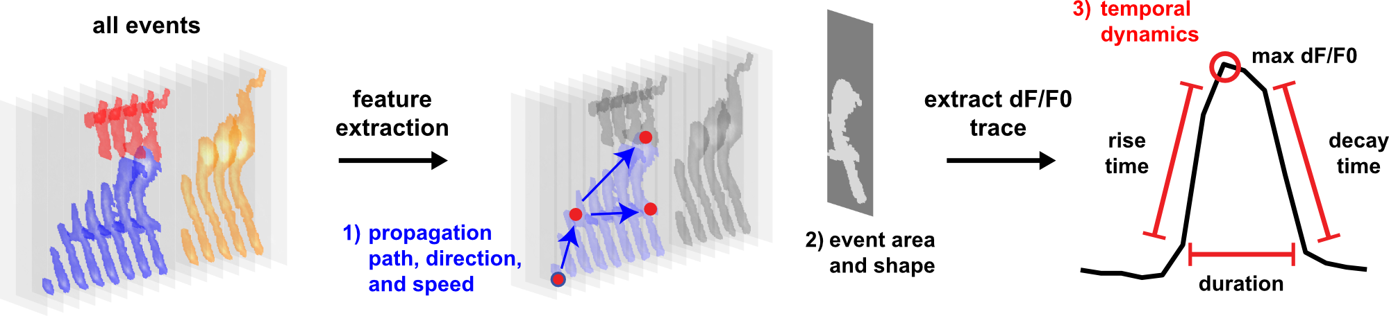 Feature extraction