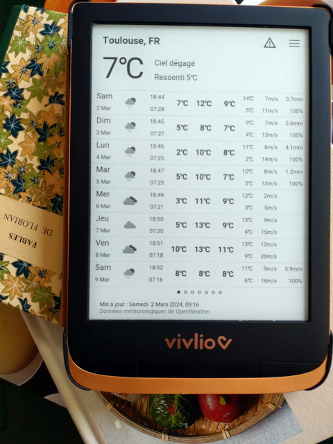 Application running on Vivlio reader